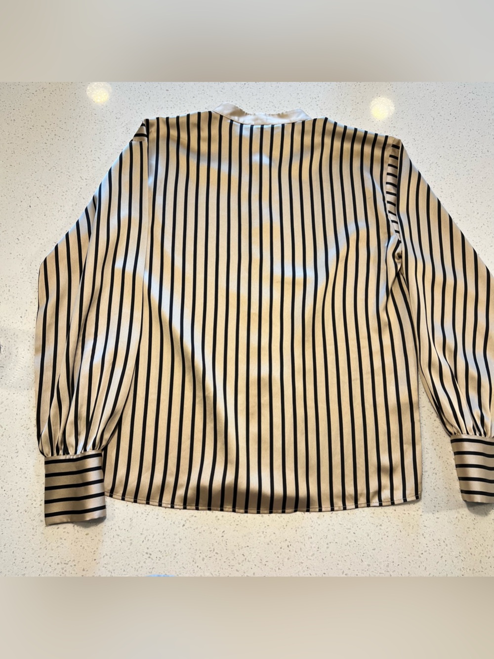 Ann Taylor Beige and Black Striped Dress Shirt - Picture 2 of 9